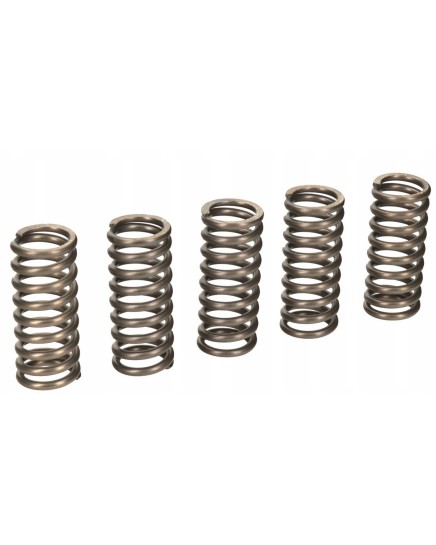 Prox sada spojkových pružín Honda,KTM,Hqa